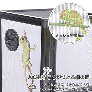 Amazon | 爬虫類 カメレオン ケージ 飼育ボックス 両生類小動物